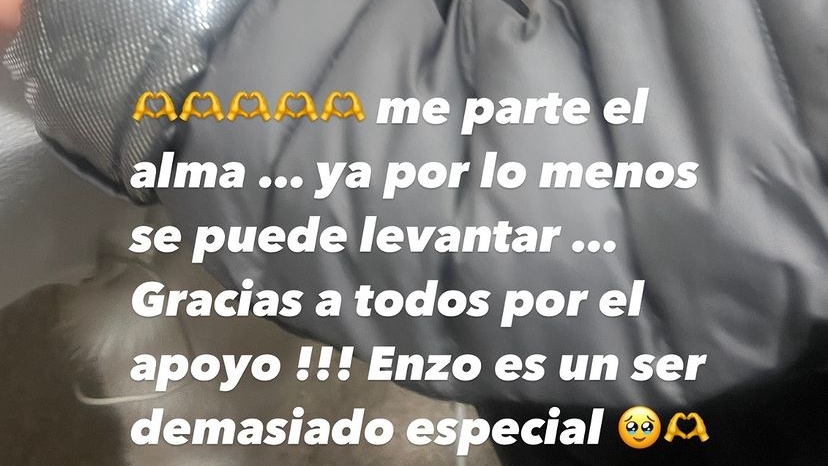 Valentina Ferrer ha compartido el avance del perro en sus redes sociales.