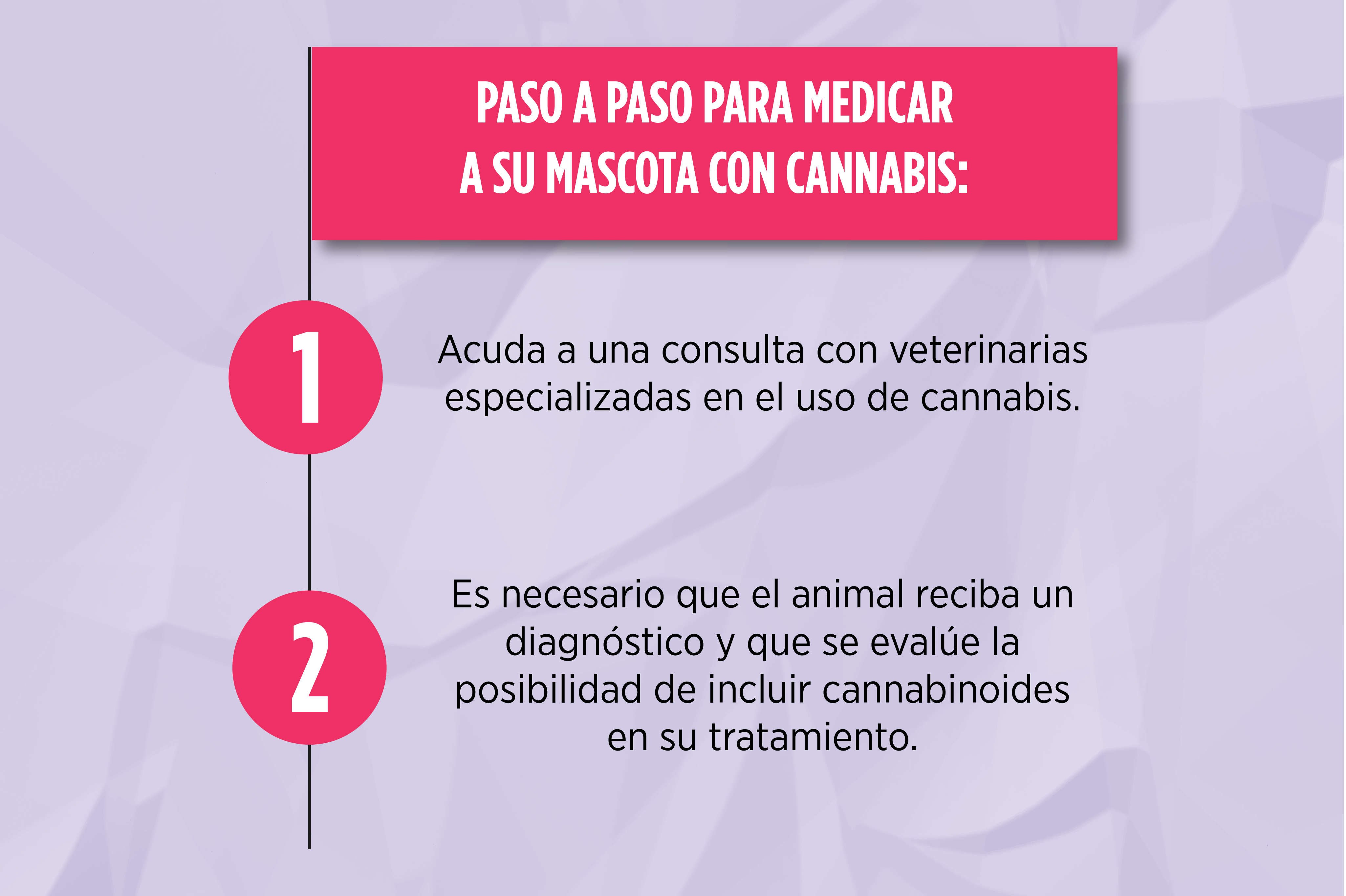 Es importante que el animal cuente con un diagnóstico que permita saber si es indicado o no el uso de cannabis en su tratamiento.