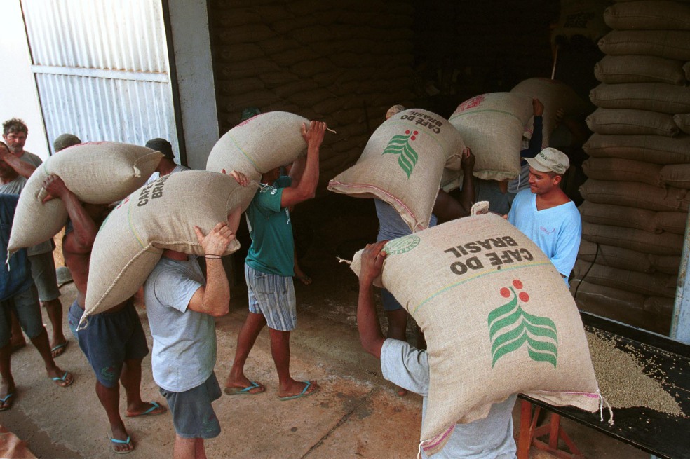 Cafeteros apuestan a retener el grano para elevar precio