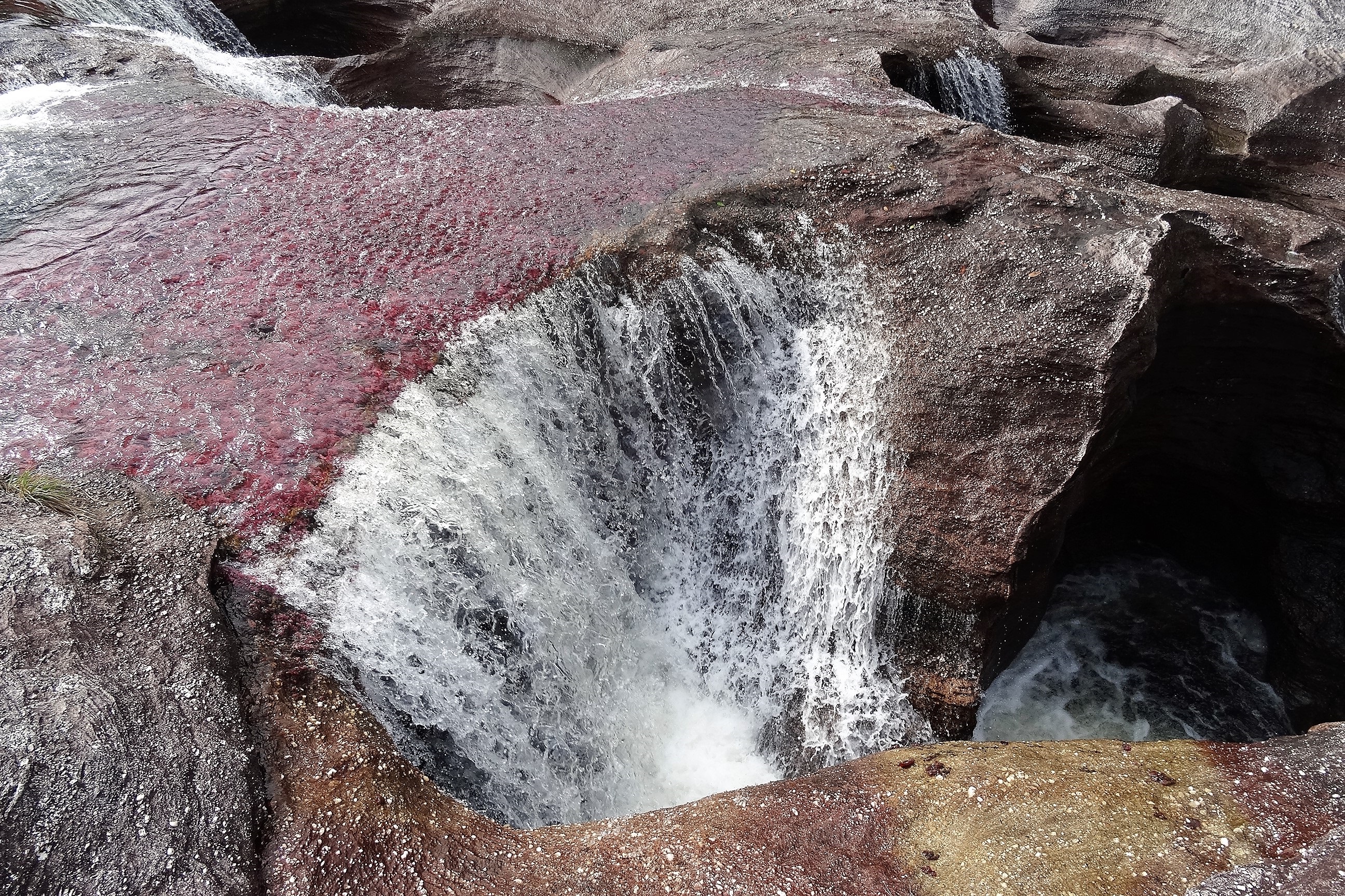 Crónica de un viaje a Caño Cristales en tiempos de paz