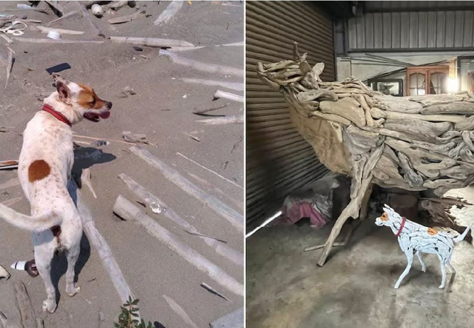“Quiero decirle: ve y diviértete”: artista homenajea a su perro con una escultura