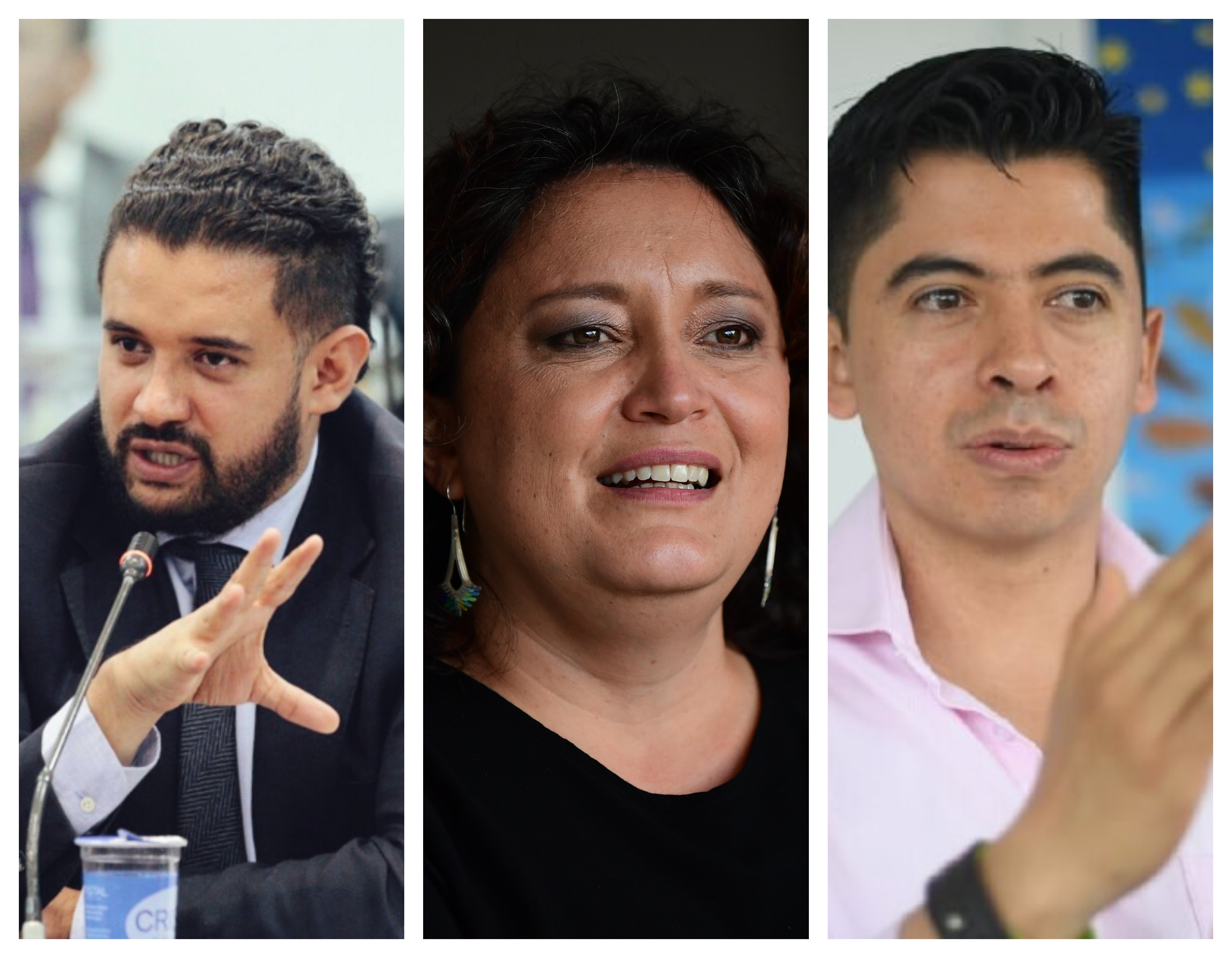 Partido Verde busca frenar pelea interna por la presidencia del Senado