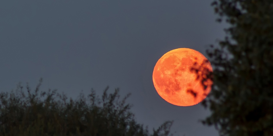 Sana tus karmas familiares con el eclipse de Luna