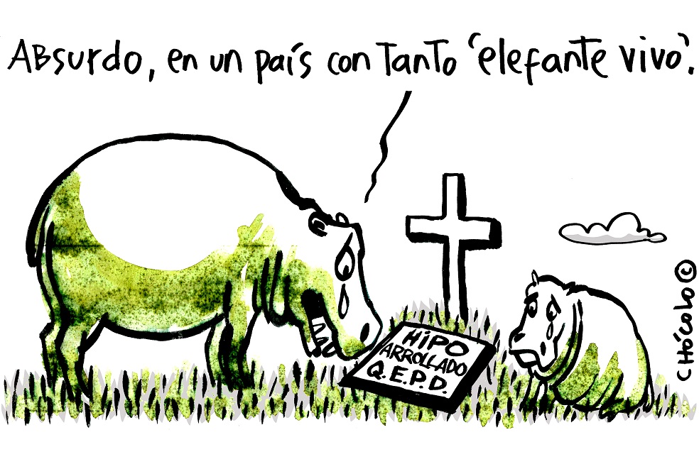 Chócolo