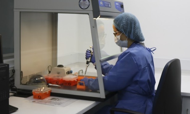 Transplantes de células mesenquimales, una nueva apuesta de la medicina en Colombia
