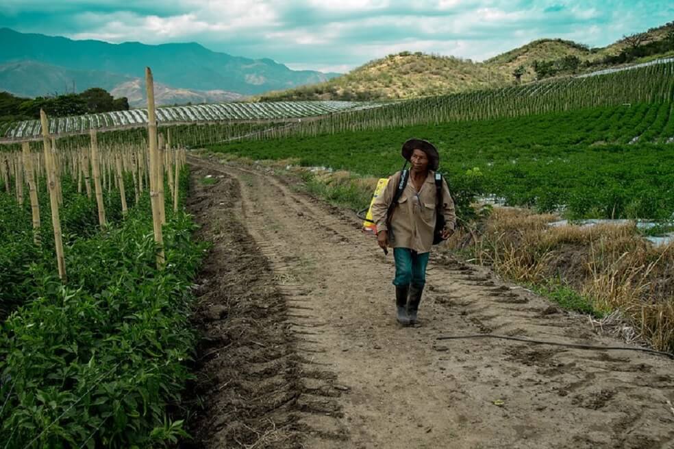 Gobierno crea apoyo económico para desmovilizados que no reciben otros subsidios