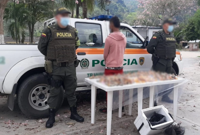 Más de 30 tortugas desmembradas fueron decomisadas en Santander
