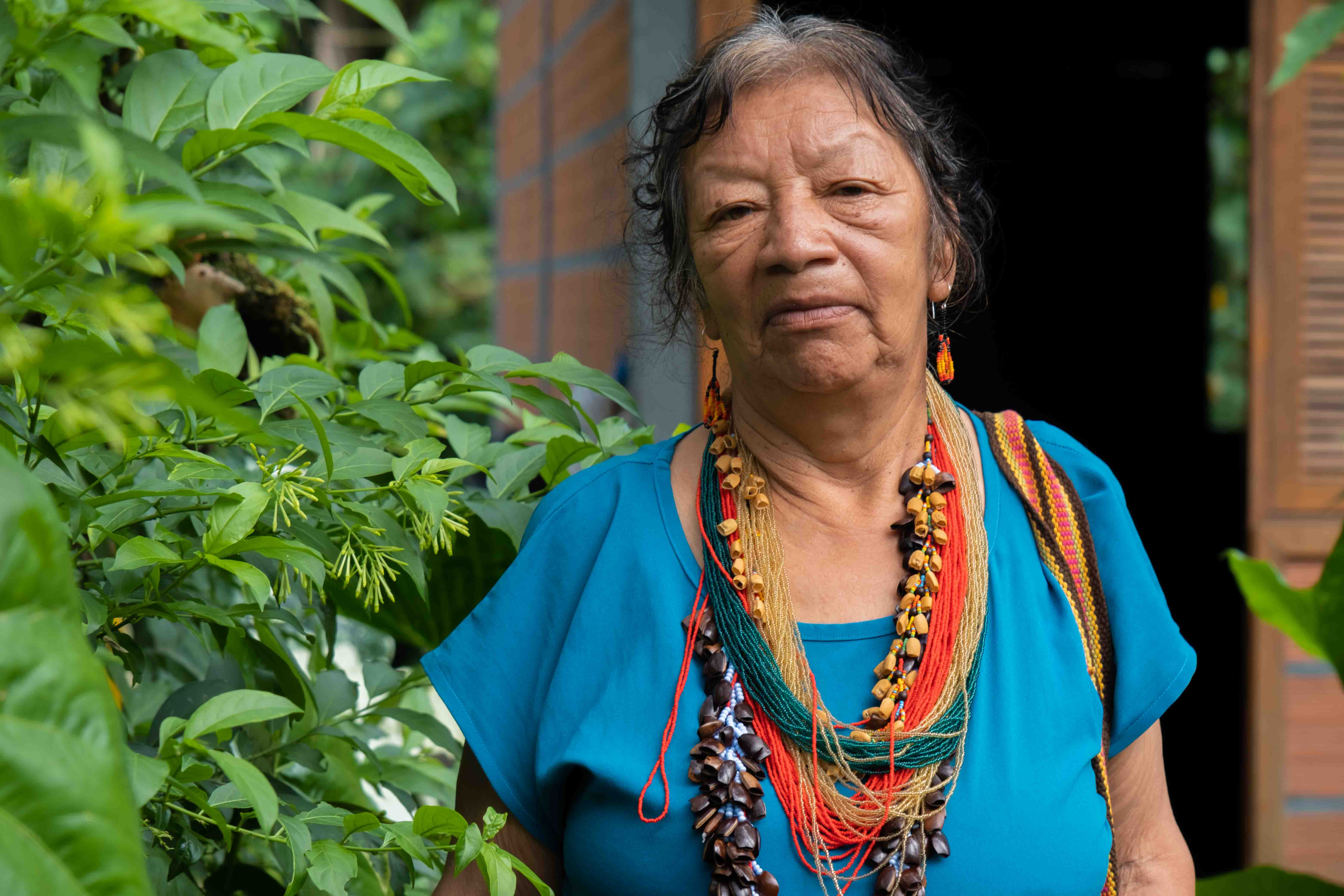 Francisca Jacanamijoy es una mujer sabedora que conoce de plantas medicinales y medicina tradicional, también es integrante de Asomi.