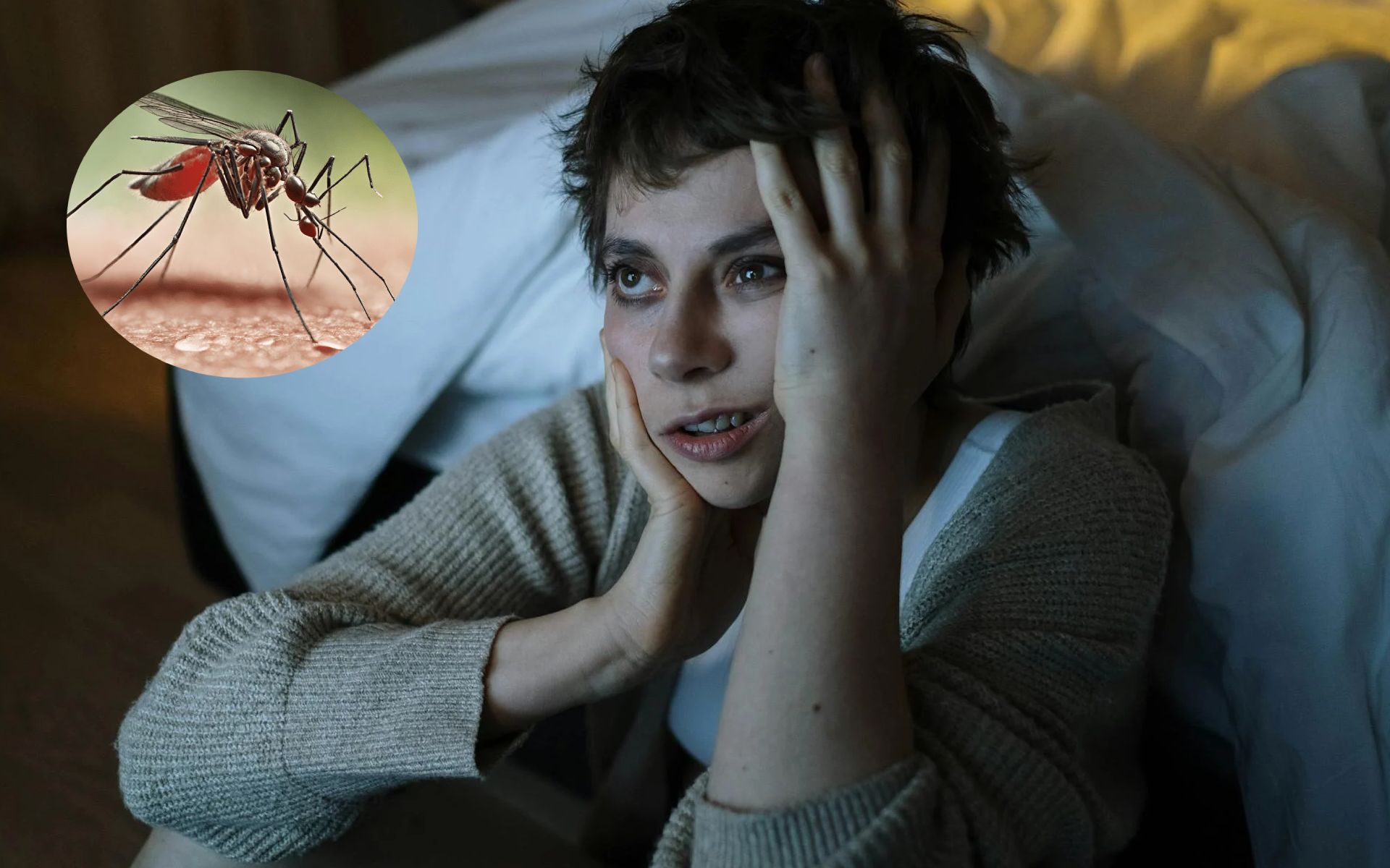 Truco para eliminar los zancudos de la casa naturalmente: es rápido y sencillo