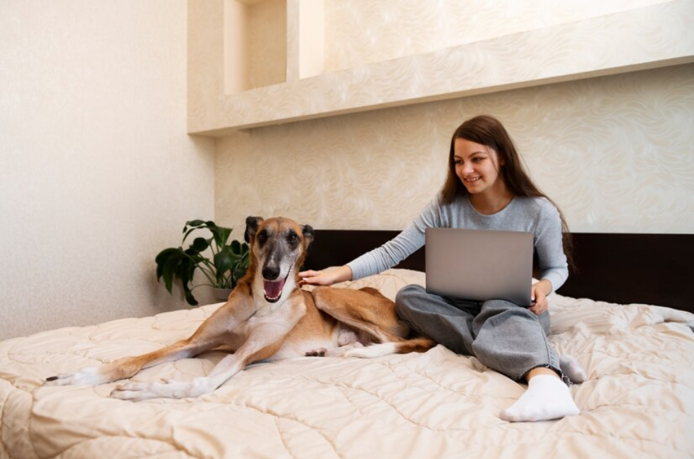 ¿Trabajar y viajar con su perro? Así es esta nueva vacante de empleo en EE. UU.