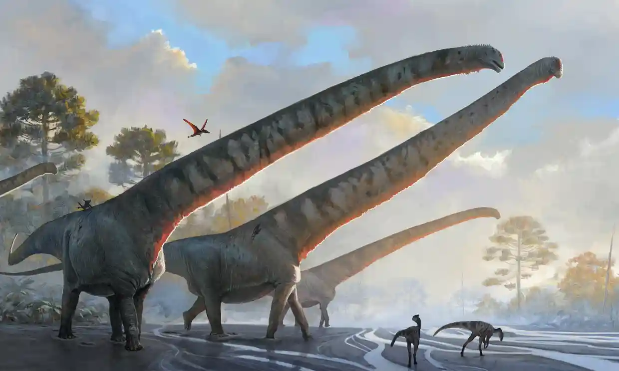 ¿Cómo lograron sobrevivir algunos animales a las extinciones masivas?