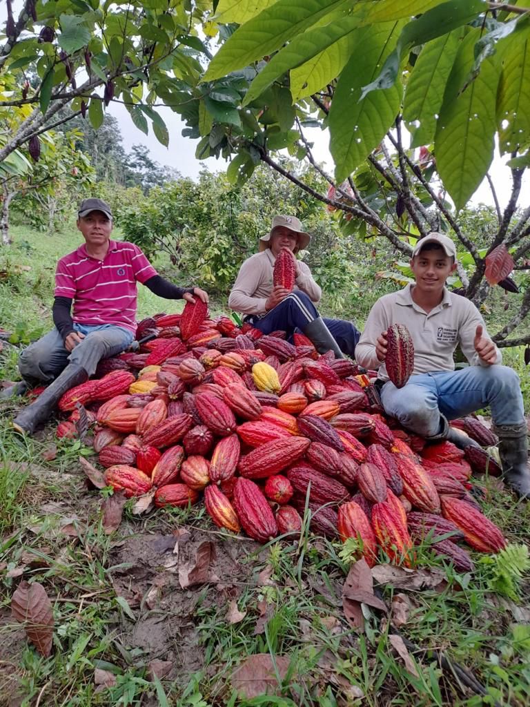 En el sector Chucurí Occidental, PNN Serranía de los Yariguíes, se han firmado 60 acuerdos de conservación con familias campesinas.
Foto: PNN