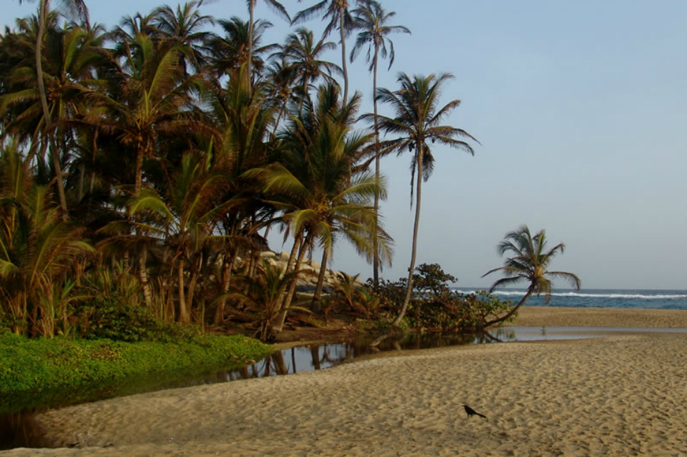Ahora visitantes del Parque Tayrona podrán reservar su entrada