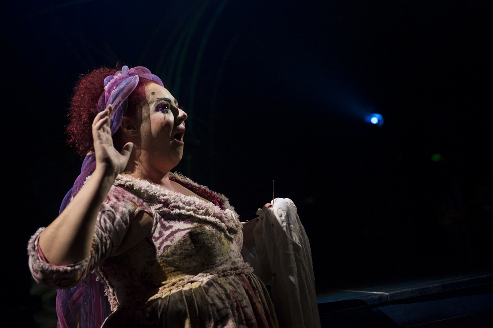 El Circo del Sol regresó con su Show Amaluna