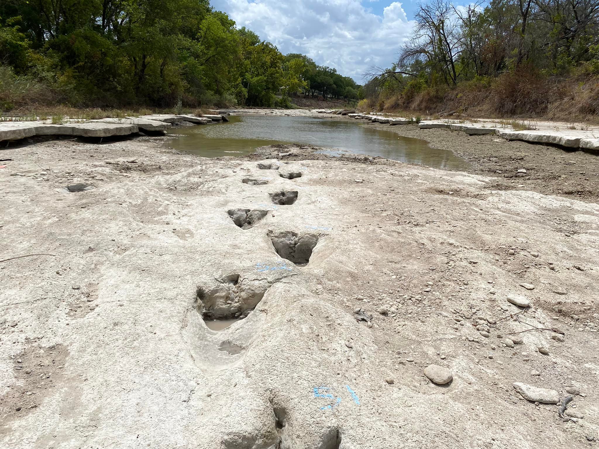 Video: las huellas de dinosaurio que encontraron en Texas luego de que se secara un río