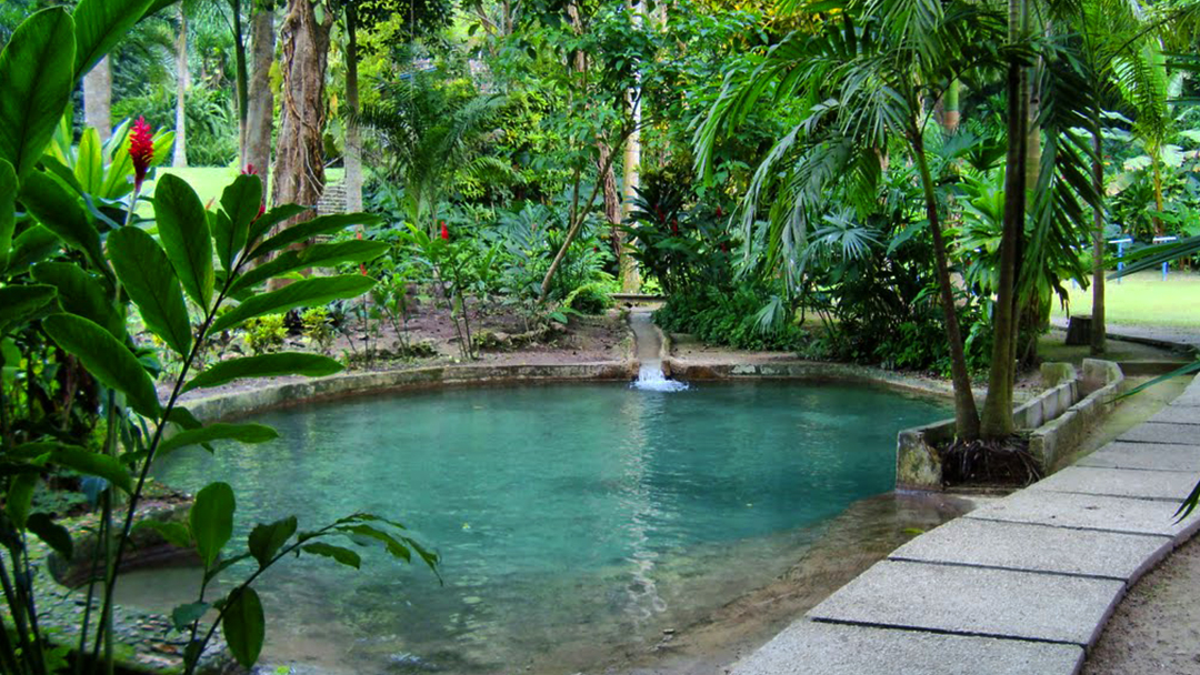 El Jardín Botánico de Cartagena conserva la biodiversidad del Caribe Colombiano