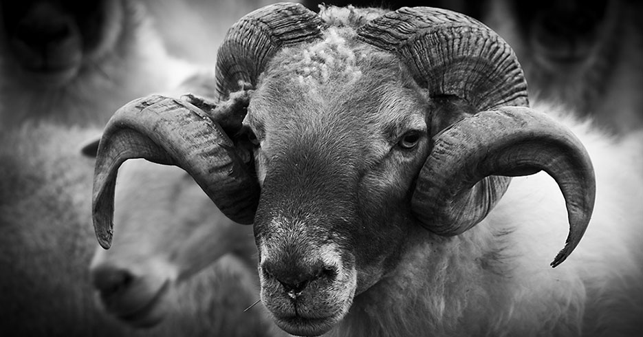 Aries deberá abrir las puertas del éxito
