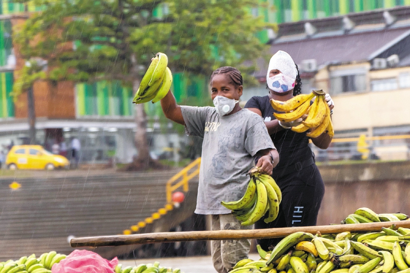 El ejemplo de las plataneras de Bojayá