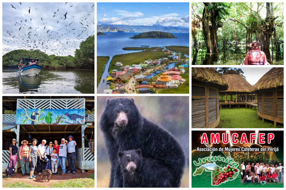 7 destinos para disfrutar del turismo rural comunitario en Colombia