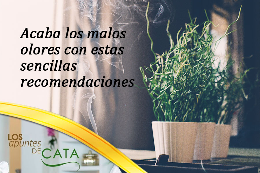 Acaba los malos olores con estas sencillas recomendaciones