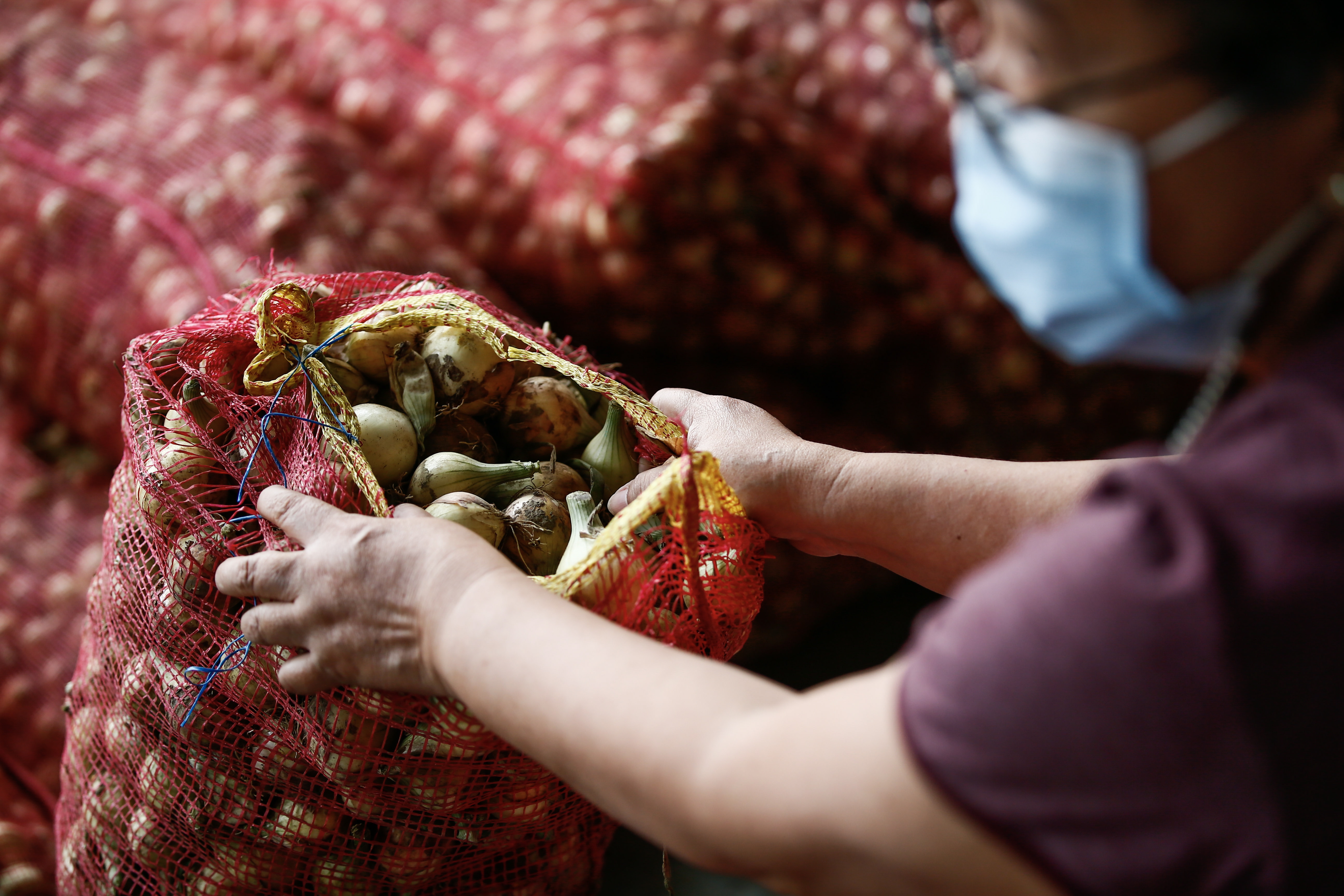 Se extiende por un año más el arancel cero para la importación de 74 insumos