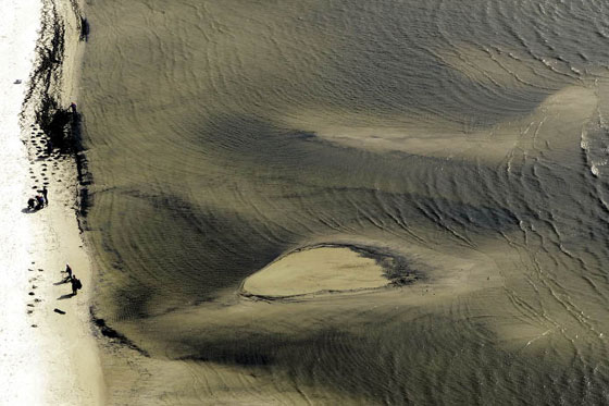 El golfo de México se desangra