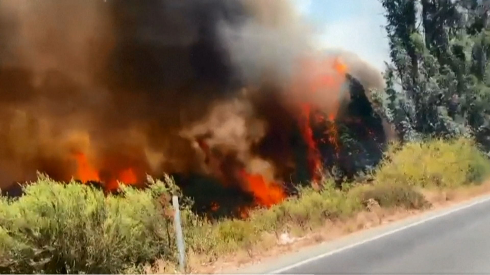 Incendios forestales en Chile: declaran estado de catástrofe en varias regiones