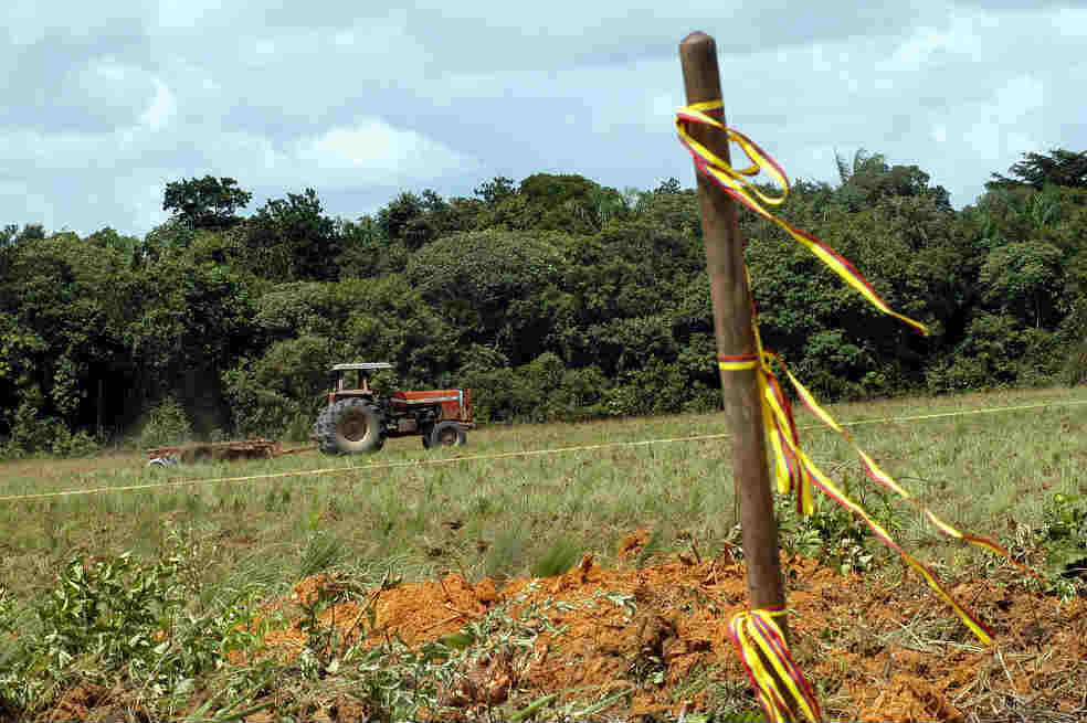 Corte Suprema limita anulación de compraventa de tierras surgidas de la violencia