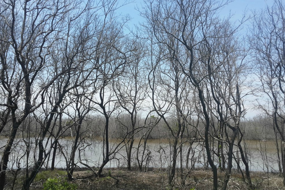 Colombia se alía con el MIT para adaptarse al cambio climático