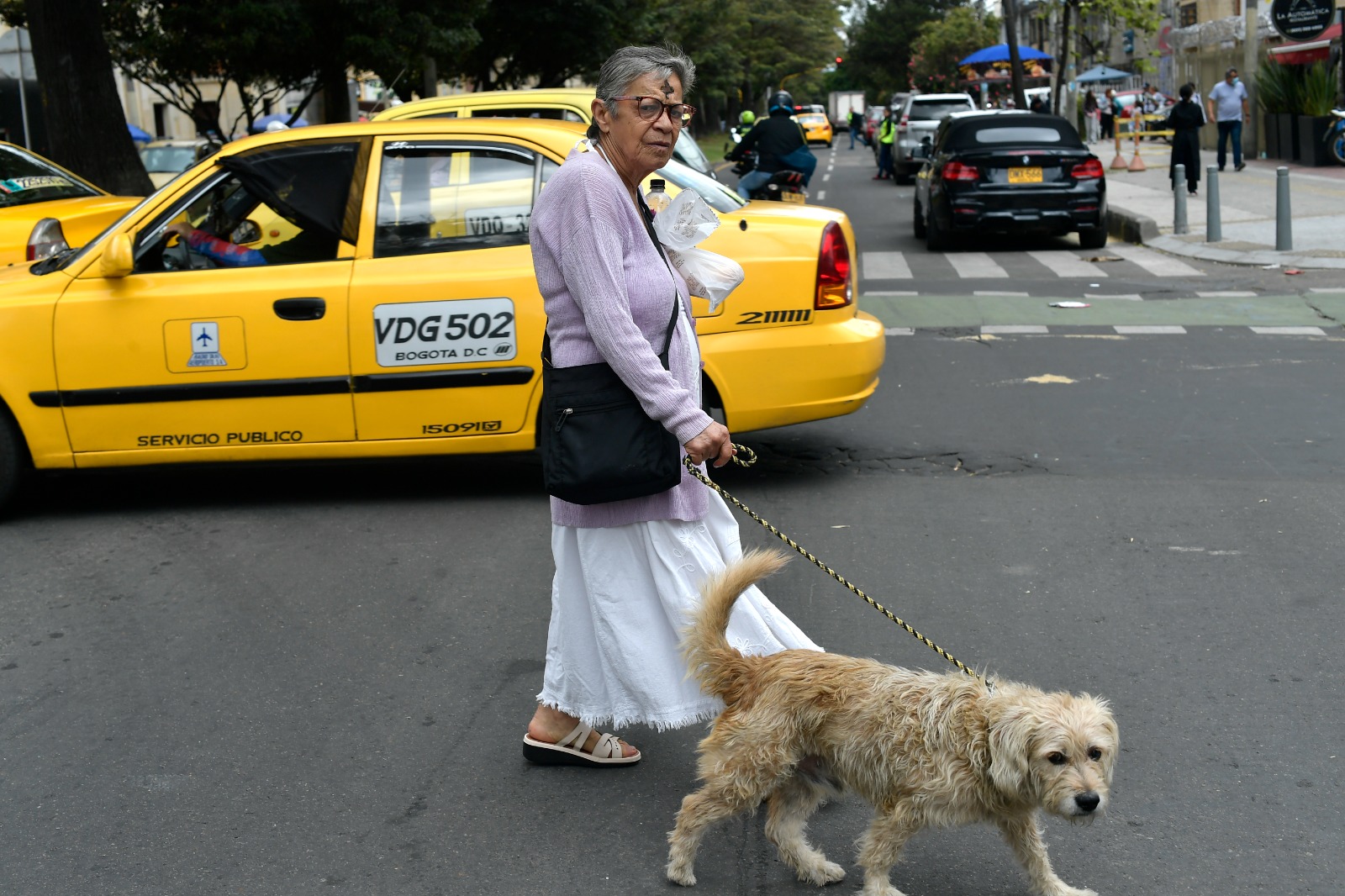 Miércoles de ceniza