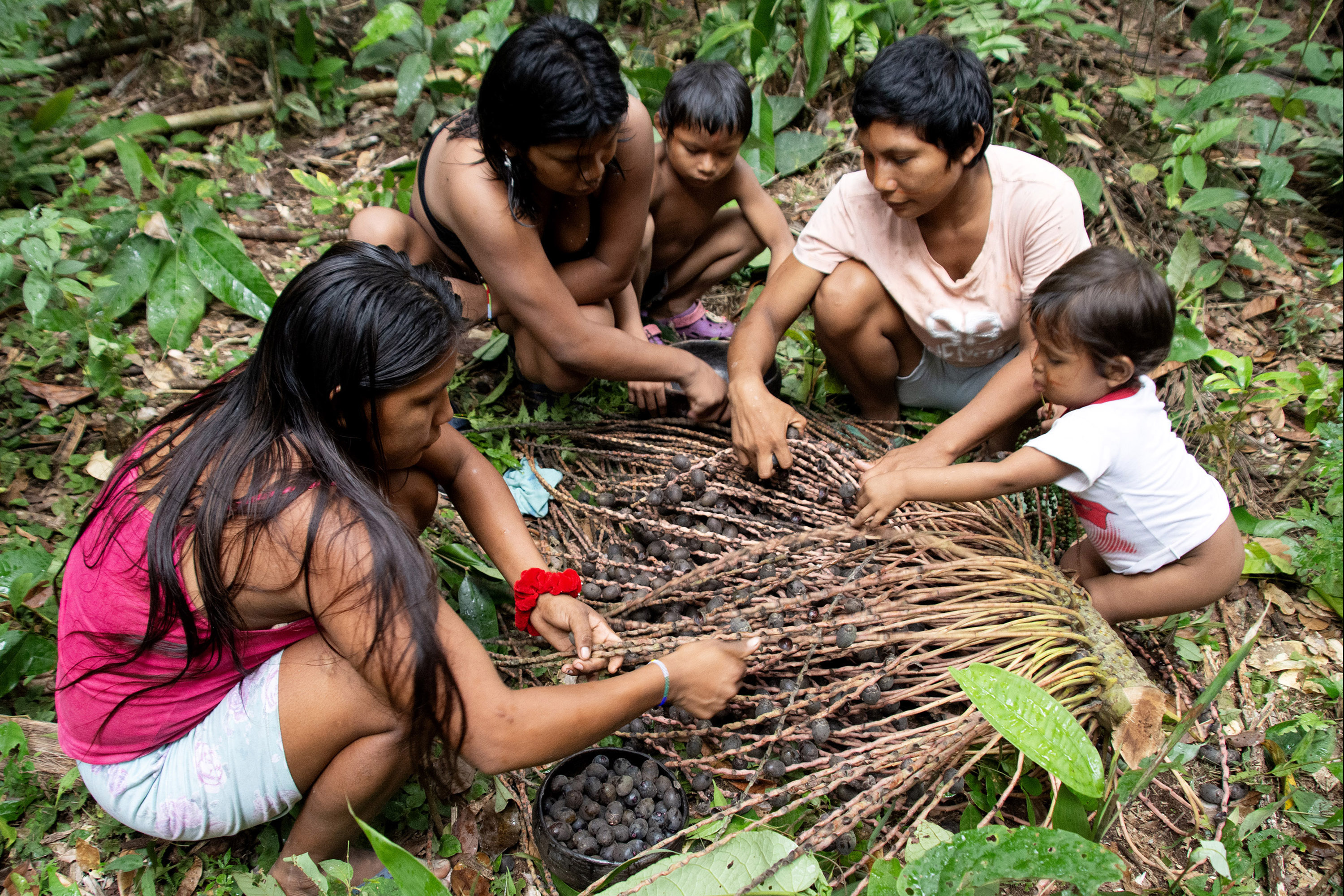 La lucha de una familia nukak por restaurar la Amazonia