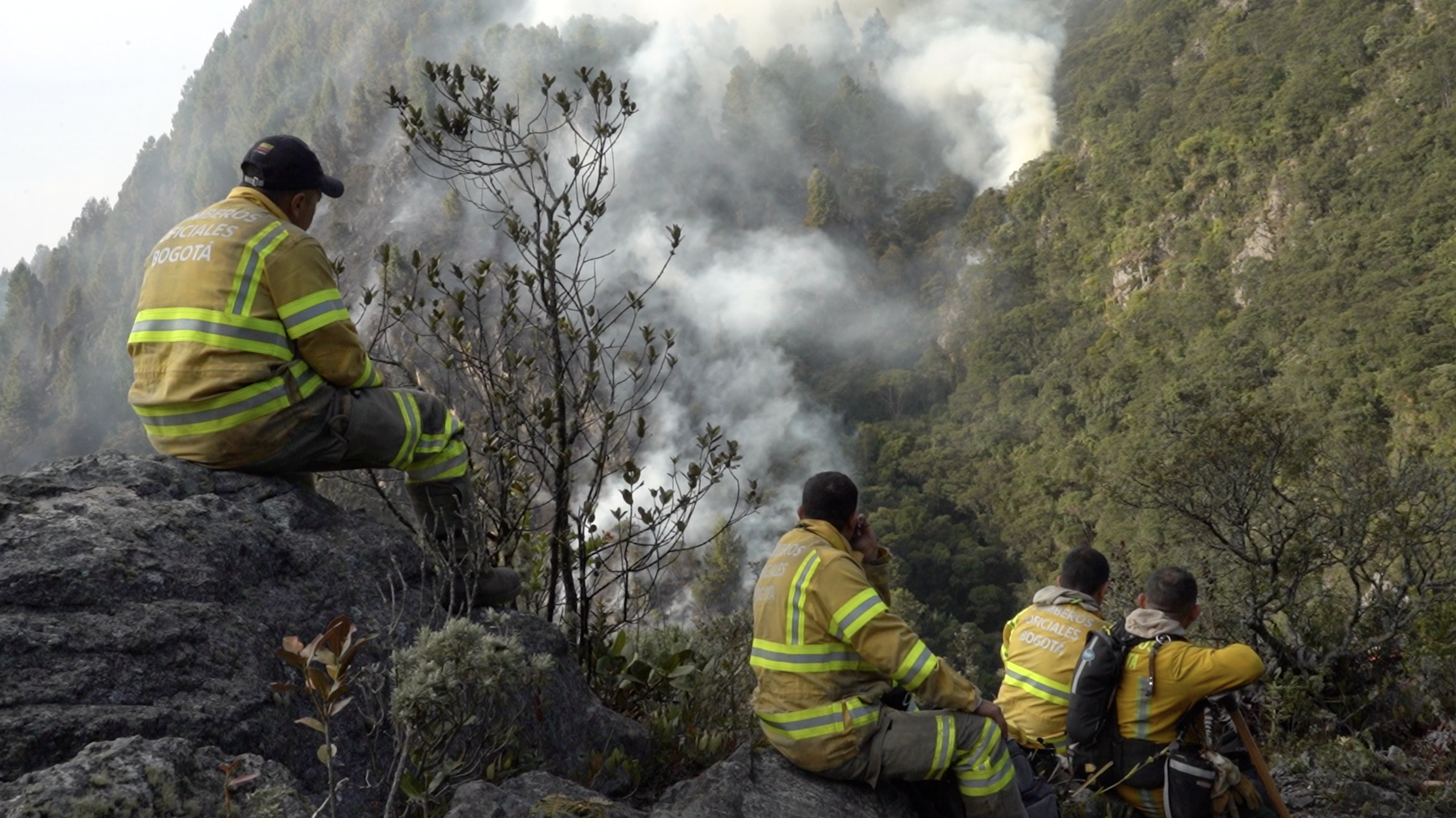 Incendios en Bogotá: entre humo y ceniza los bomberos combaten las llamas