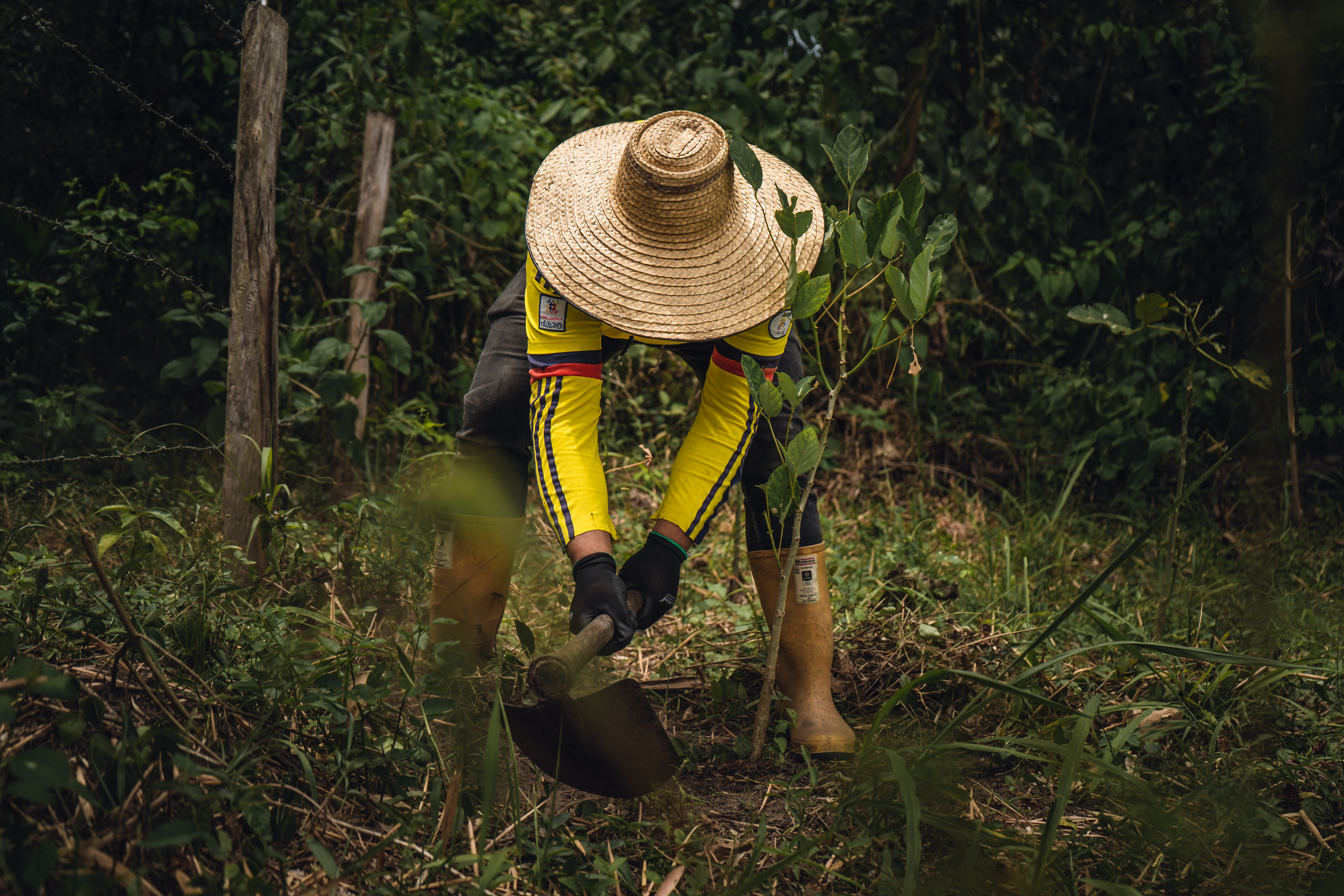 Reconversión productiva: acciones clave para la conservación del recurso hídrico