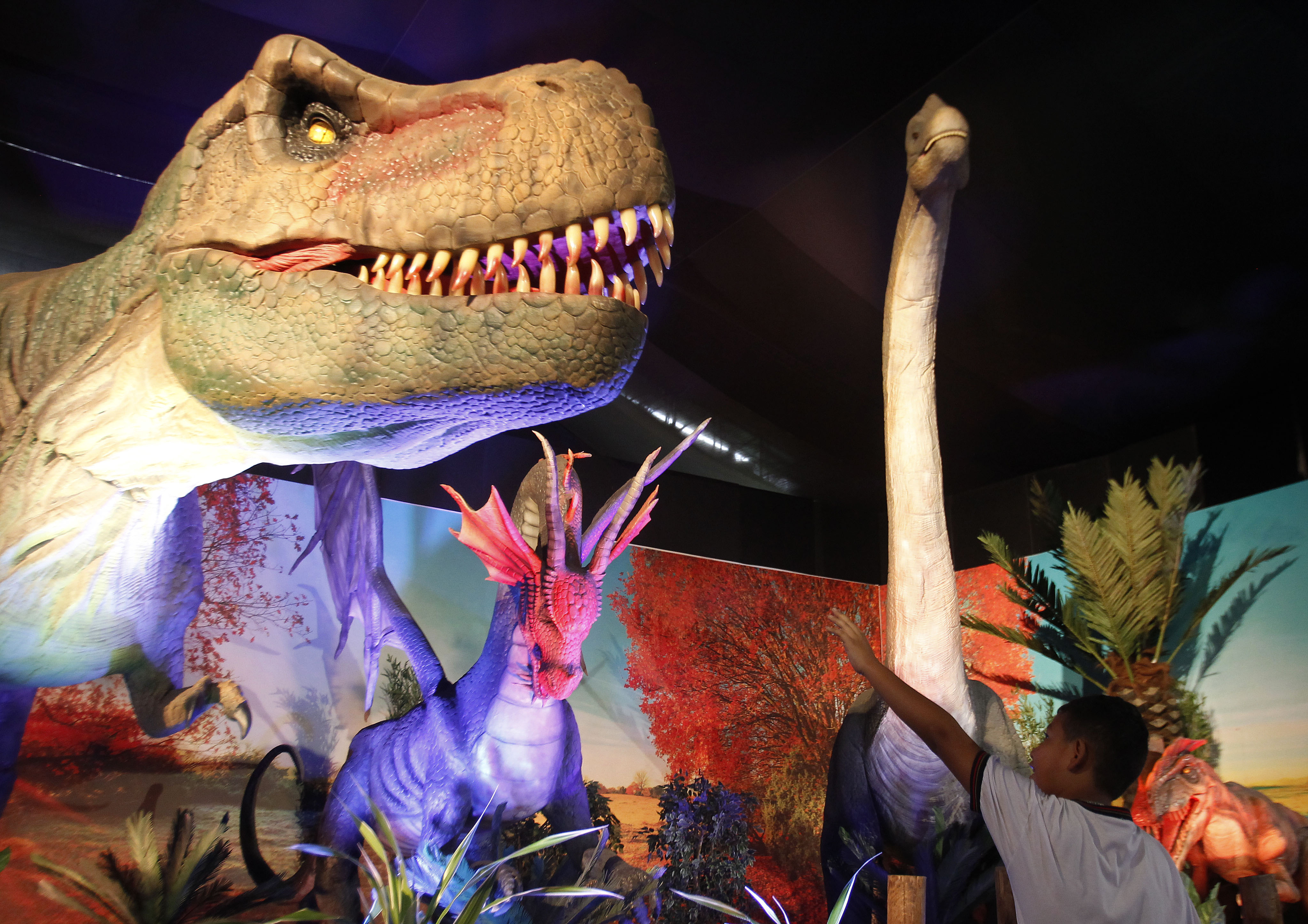 El T.rex no fue tan inteligente como se ha llegado a especular