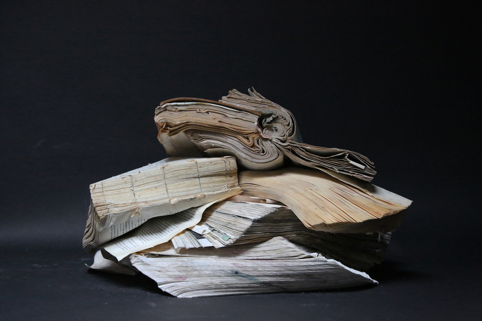 “Fósiles de papel”: los libros petrificados por la inundación de Venecia
