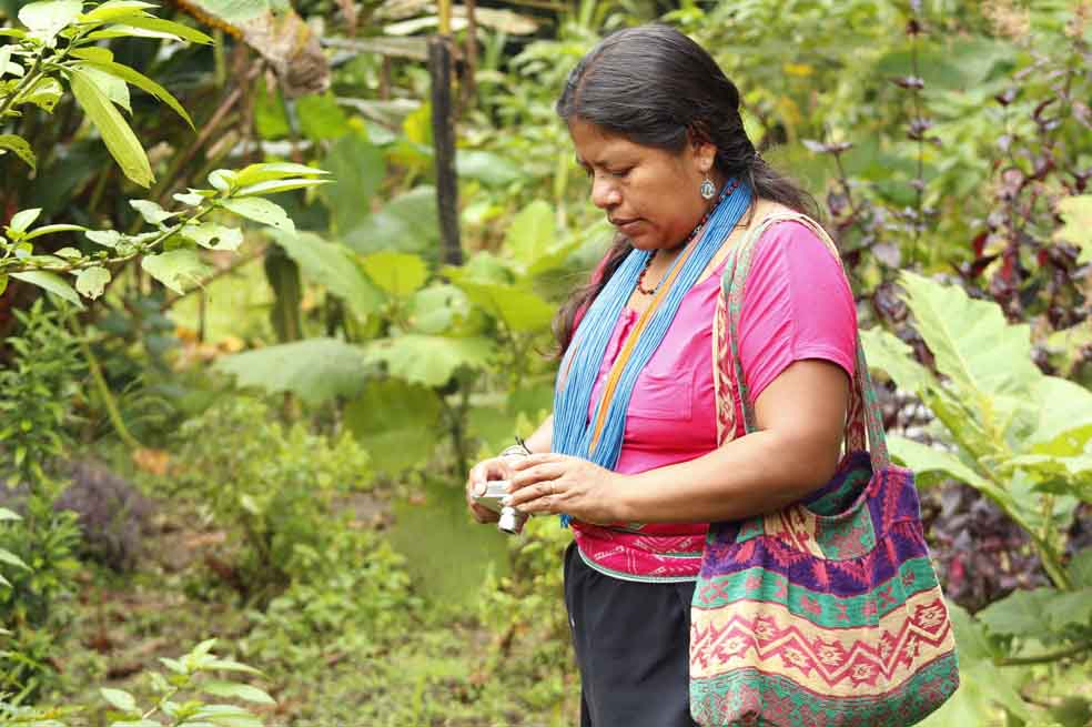 Salvavidas para plantas medicinales