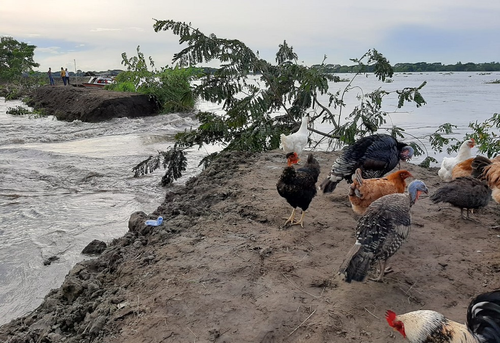 Temporada invernal deja más de cinco mil damnificados en Barranco de Loba, Bolívar