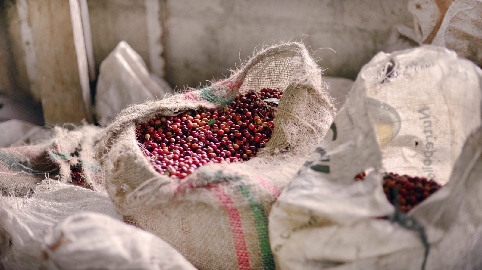 Productores colombianos de café y cacao expusieron sus productos en Alemania y España