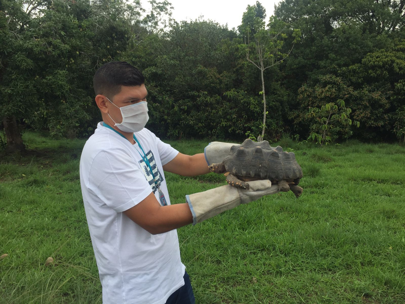 En total, 42 retornaron a su hábitat natural y 27 fueron reubicados.