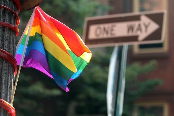 Gobierno, a sentar posición oficial sobre adopción de menores por homosexuales