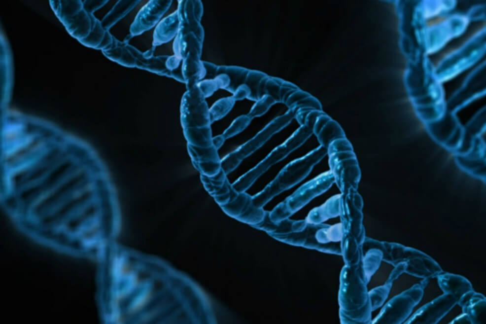 Hallada una segunda mutación que protege frente a la infección por VIH