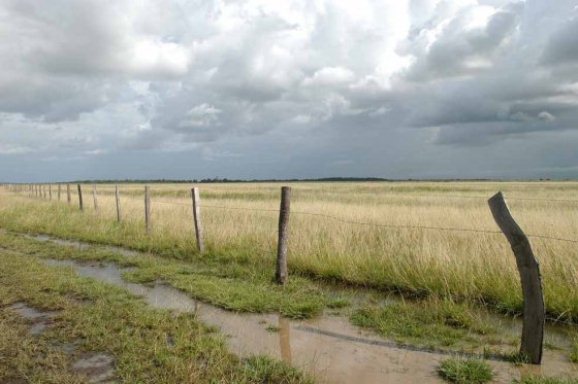 Polémico proyecto de ley de terrenos baldíos ya fue retirado