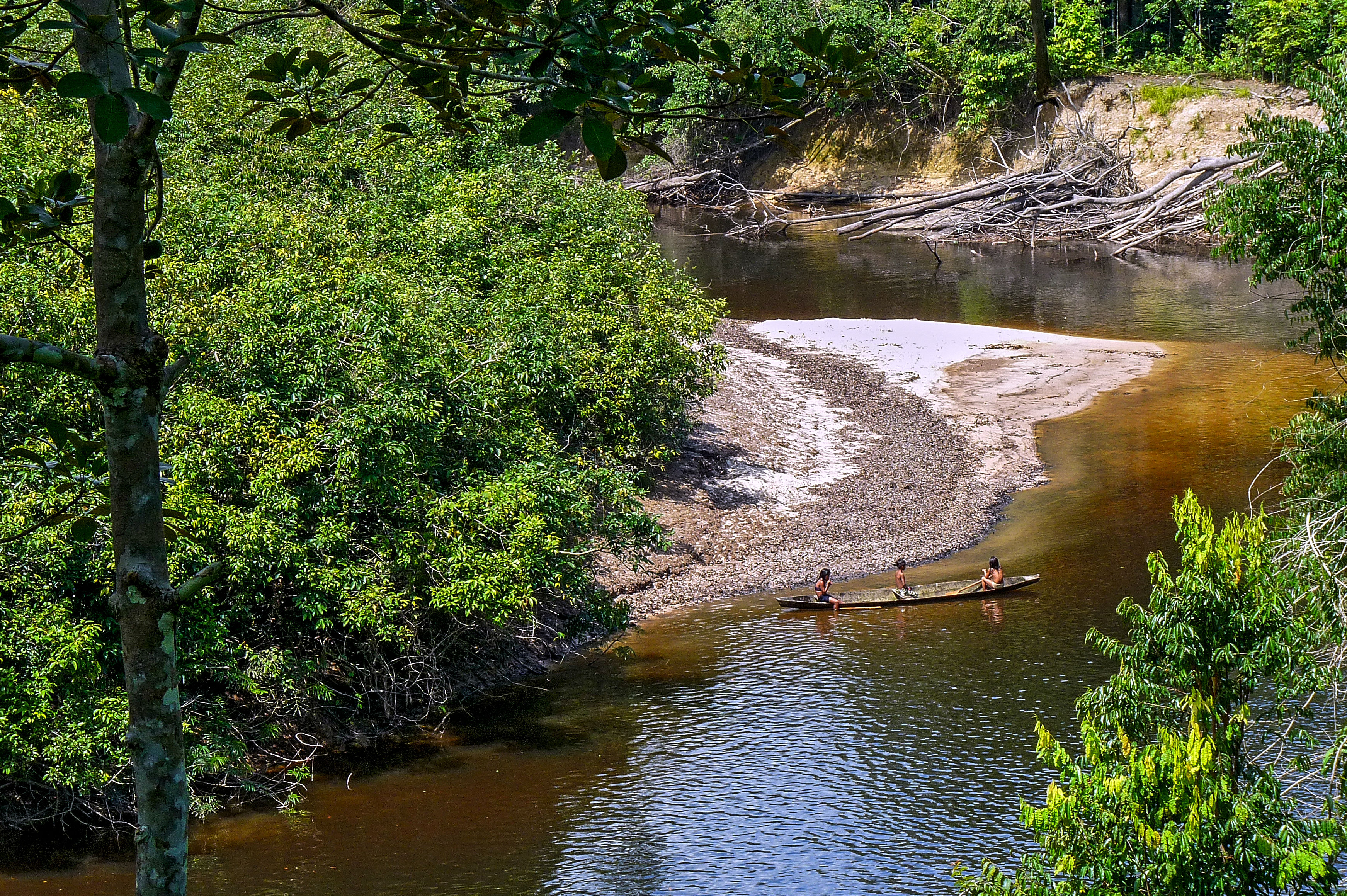 La devastadora búsqueda de El Dorado que carcome a la Amazonía