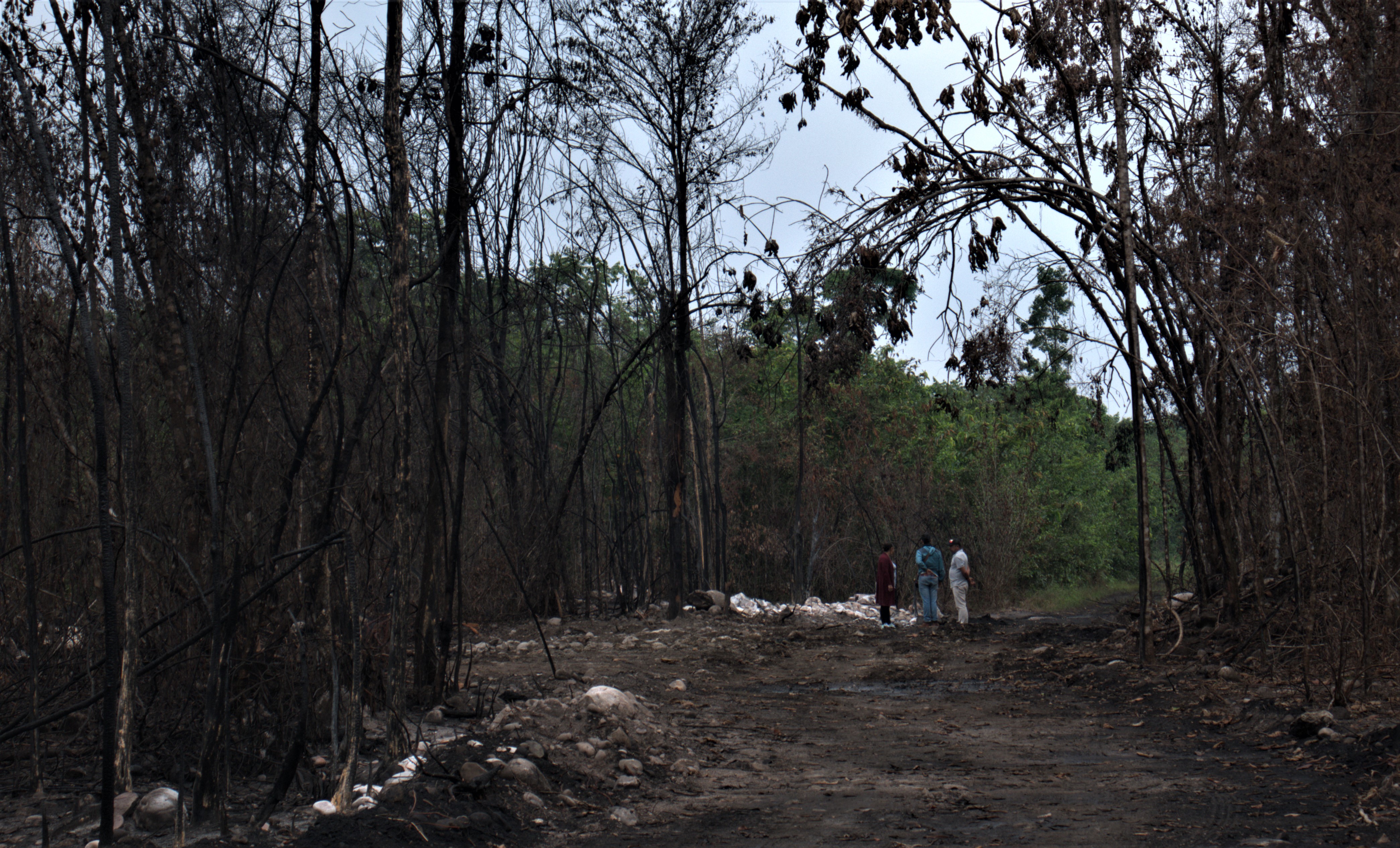Atentado al oleoududcto Caño Limón - Coveñas, en el sector de Rotarbaría en Cubará (Boyacá).