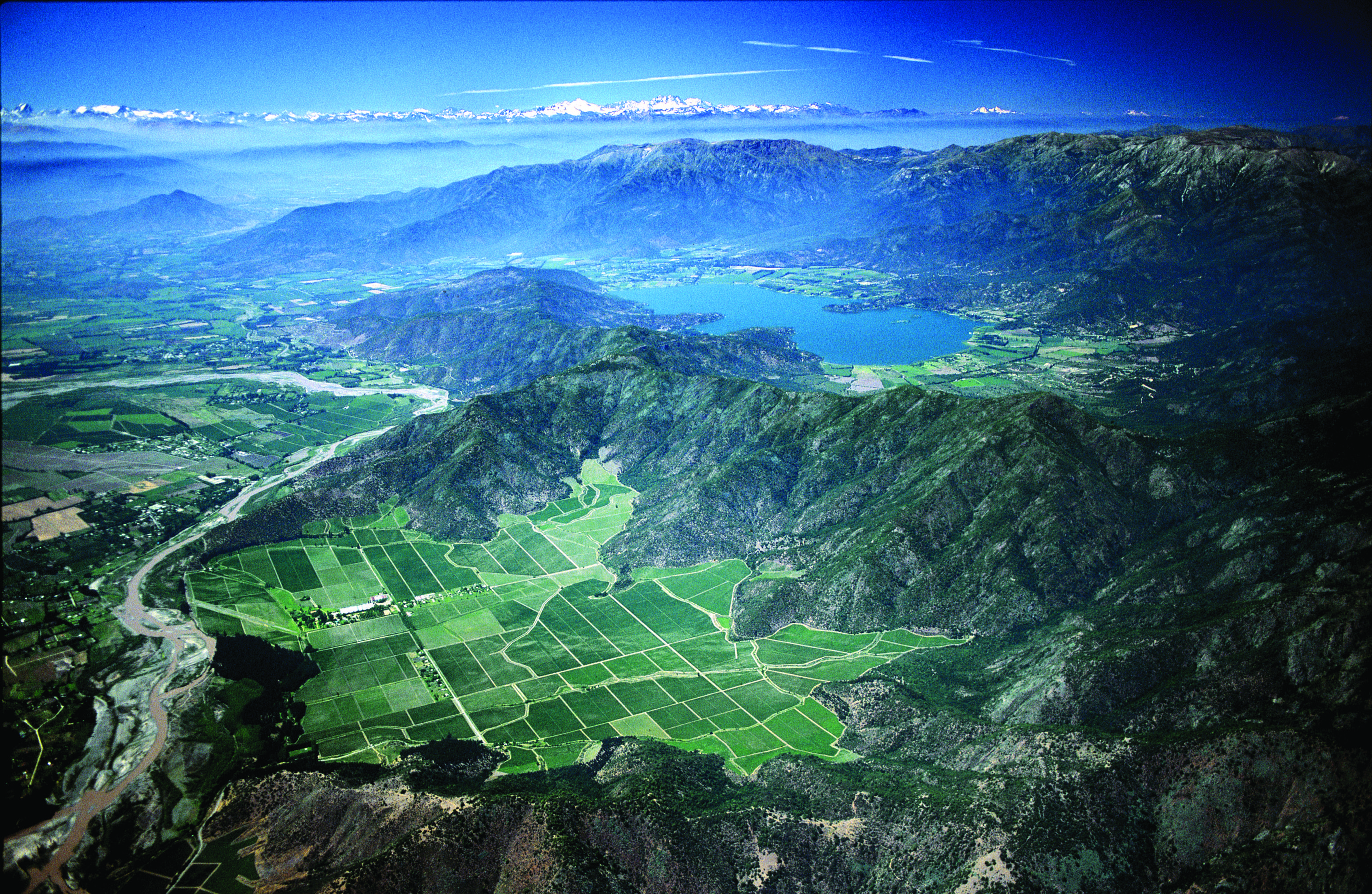 Viña Tarapacá presenta su plan de biodiversidad: el origen de un vino excepcional