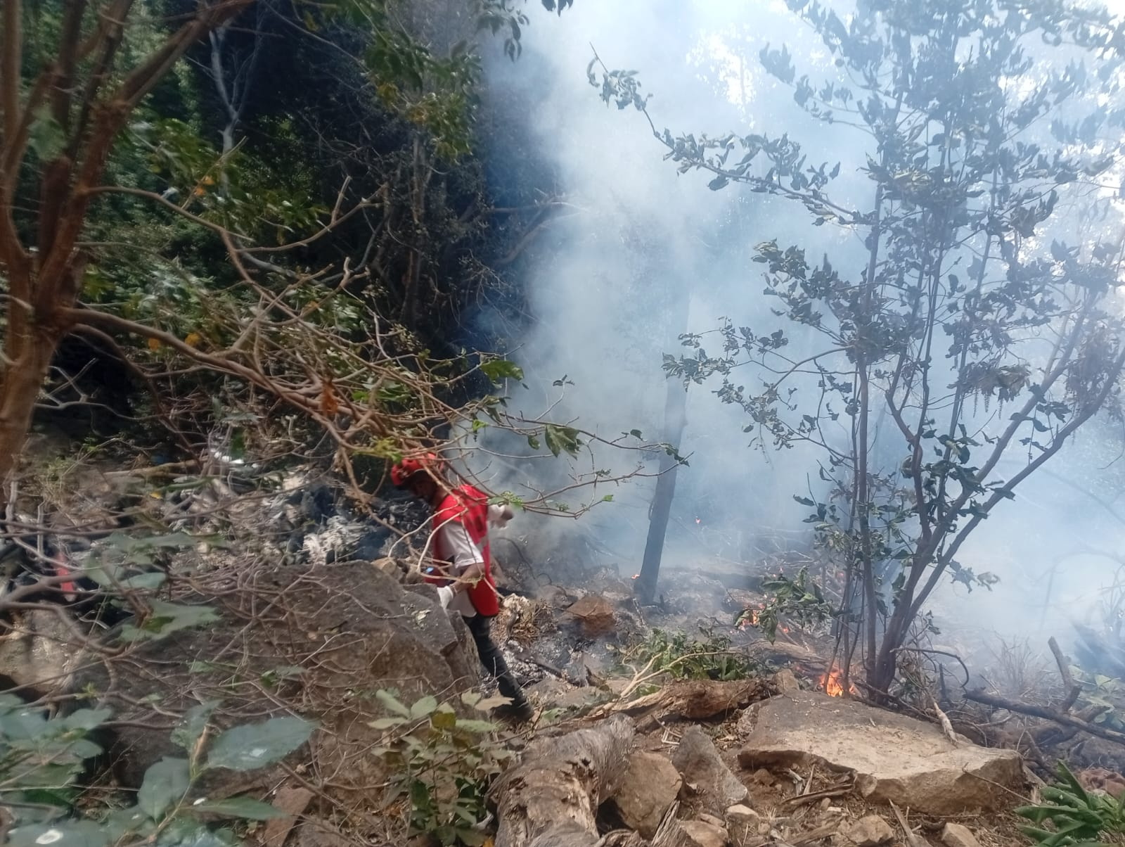 Helicóptero se estrella en Kenia y deja siete muertos, incluido un alto funcionario Ecuador