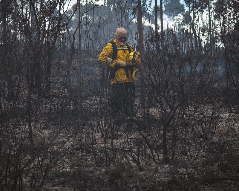 Los incendios afectan varias zonas de Argentina en plena ola de calor