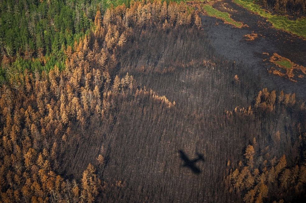 Un avión sobrevuela una villa de Sahka, en Siberia, consumida por un incendio forestal.