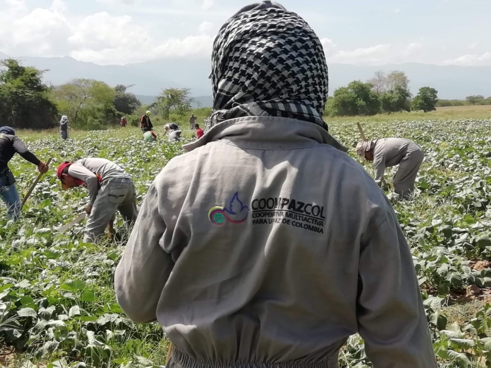 un hombre de espaldas mientras trabaja el campo