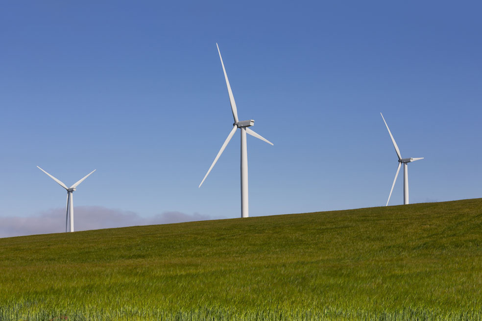 Claves de una economía verde